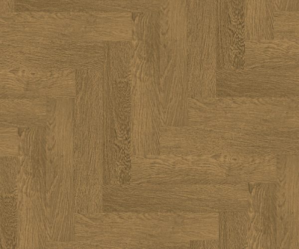 SH504-C3