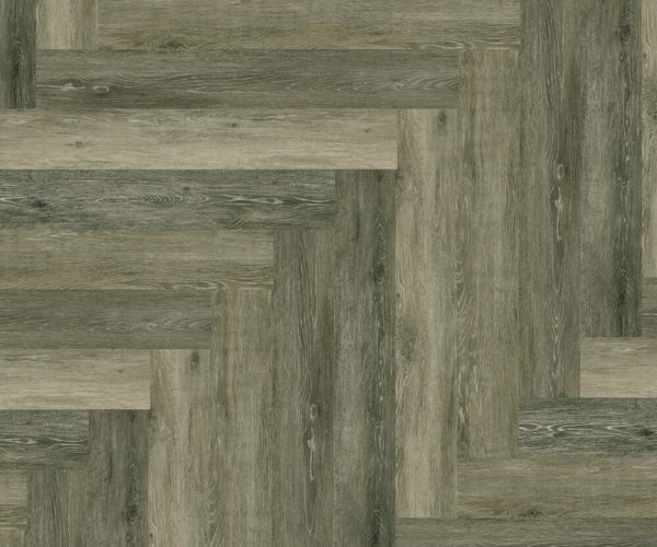 SH508-C3