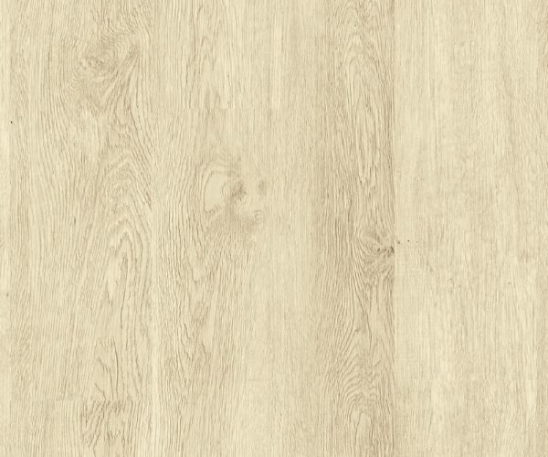 SP523-C3