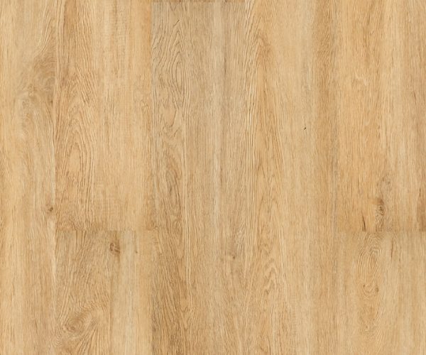 WP703-R3