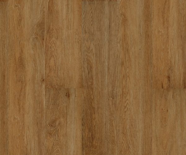 WP704-R3